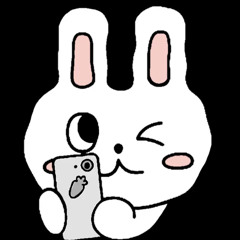 토끼아니야