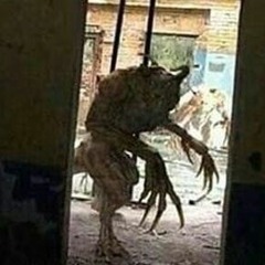 alphacenturion