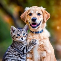 Christine S. Jackson