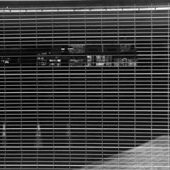 Shane Austin Collins