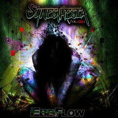 Synesthesia Productions