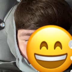 a1