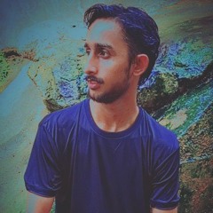 Ladla Hamza