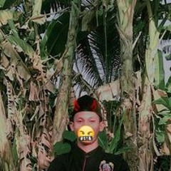 Insan Febryanda