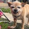 Reigne🥰🐕