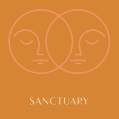 The Sanctuary Challenge