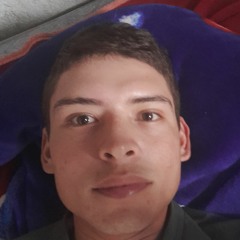 User 141679952