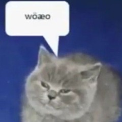 Woaeo