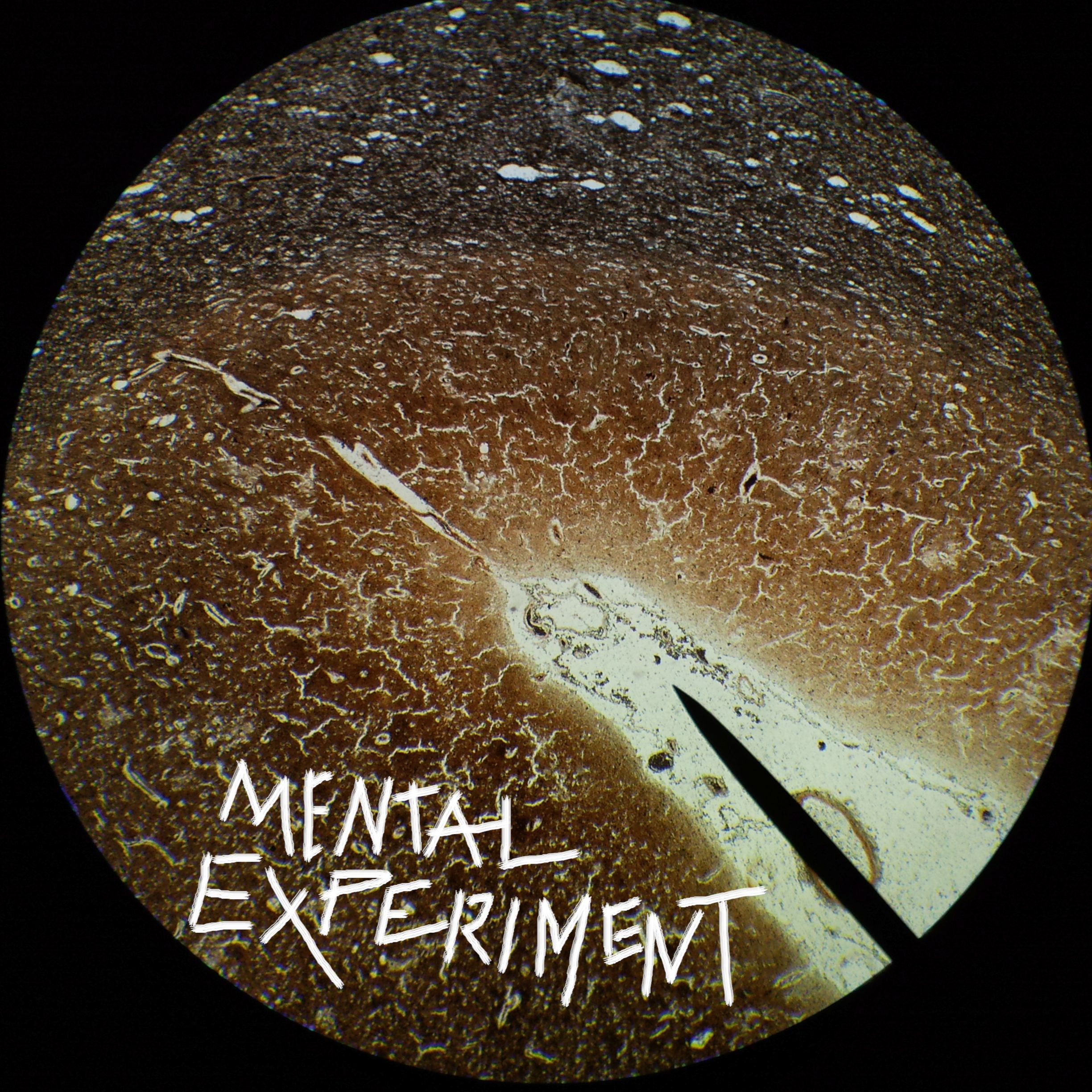 Mental Experiment