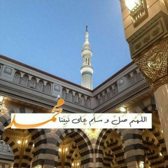 ali alamer