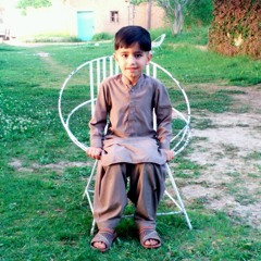 amir