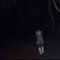 shadoe