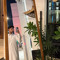 بندر القحطاني