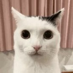 Fureversalty