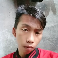ravi