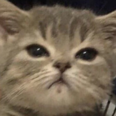 !!!!