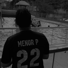 Mnrp - PERFIL 2