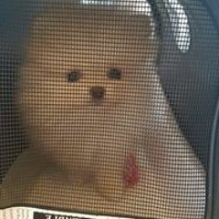 소원준