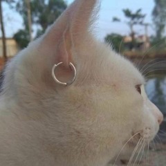 buon`