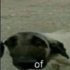 Neden Olmasın (cover skapova Melih)