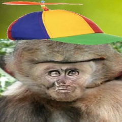 Monkeys And Hats