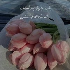 Mohamed Nour-Seket