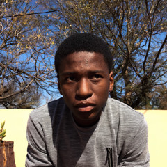 TheServant