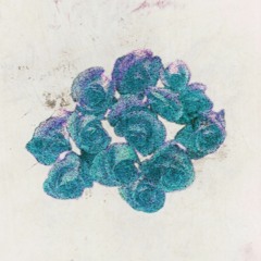 Old Aqua before he fell off