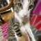 zozi