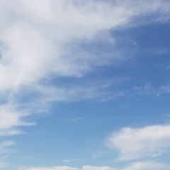a yo