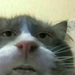 Kadayll