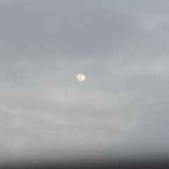 ‎𐤑 𐤉 𐤅 𐤍  𐤀 𐤓 𐤉