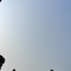 Bạch Hoả Long