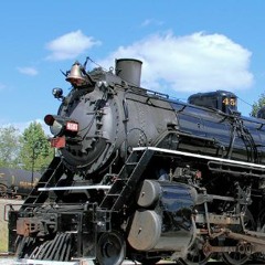 SouthernFan4501