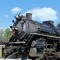 SouthernFan4501