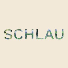 SCHLAU