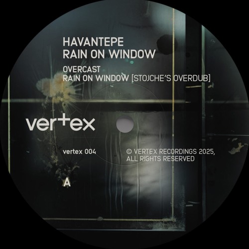 Dimitar Dodovski - Rendered On Friday (Havantepe Remix)