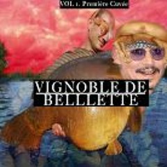 Vignoble De Belllette