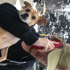 DjDogDad