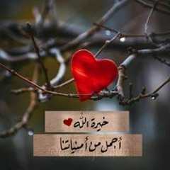 Raeda Nusair