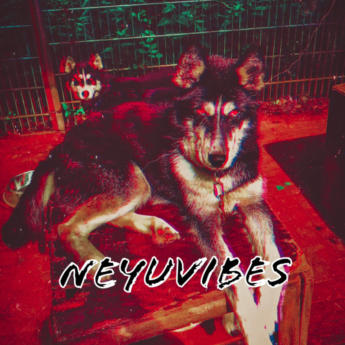 Neyuvibes’s avatar