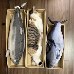 Gọi là Tùng hoặc là tùng