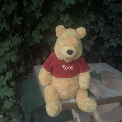 Winnie The Pooh