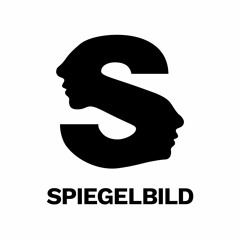 Spiegelbild Luzern