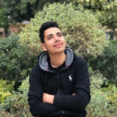 Tarek Elsayed