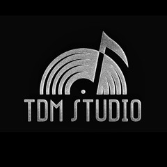 TDM STUDIO