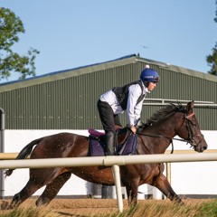 Holly Peppard