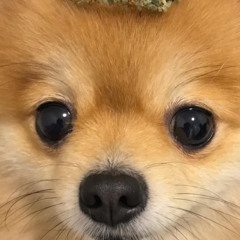 Hakhanhpham