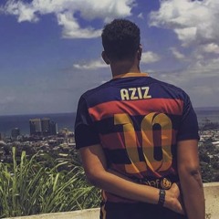 NZVZED