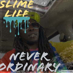 Big Stepper Tee (BST)